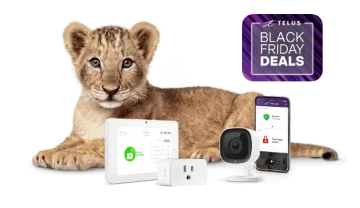 An image showing a lion cub with various SmartHome security devices.