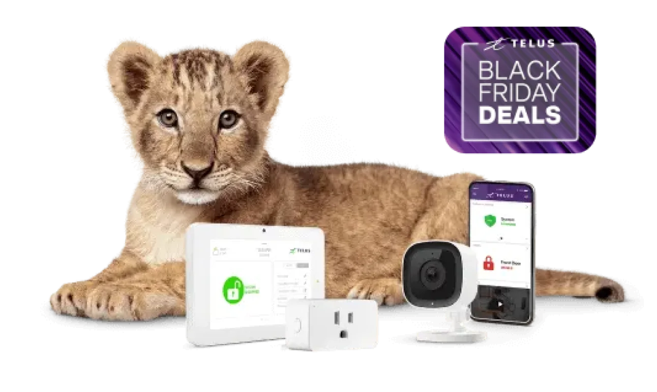 An image showing a lion cub with various SmartHome security devices.