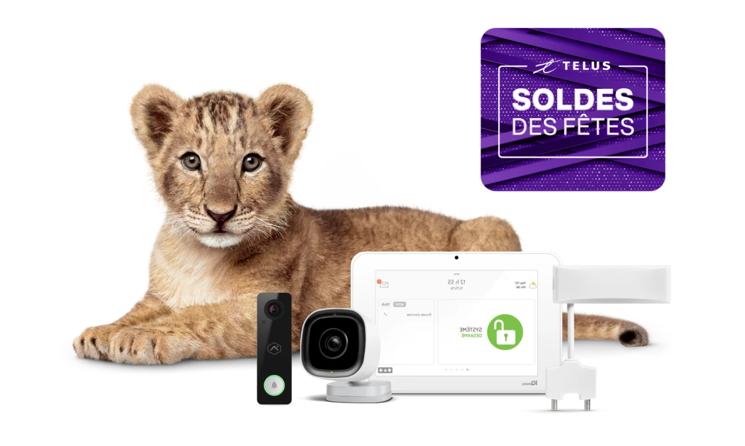 Une image montrant un lionceau avec divers dispositifs de sécurité SmartHome.