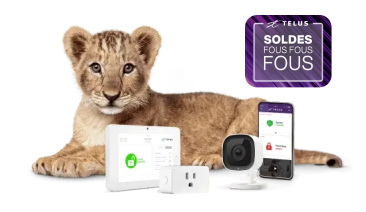 Une image montrant un lionceau avec divers dispositifs de sécurité SmartHome.