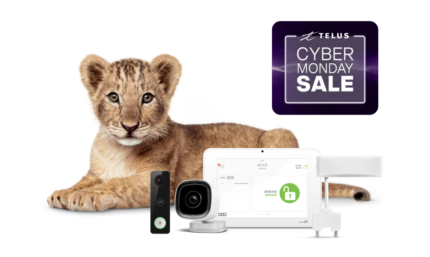 An image showing a lion cub with various SmartHome security devices.