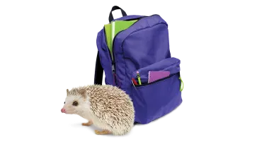 A purple backpack full of school supplies sitting next to a smiling hedgehog.