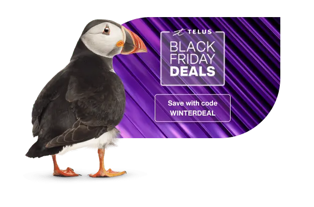 A puffin standing next to a sticker that reads: Black Friday deals. Save with code WINTERDEAL.