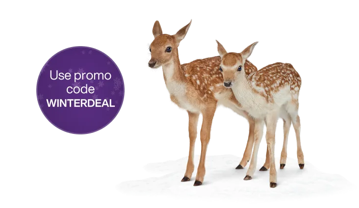 A deer standing next to a roundel. The roundel reads “Use promo code WINTERDEAL”.