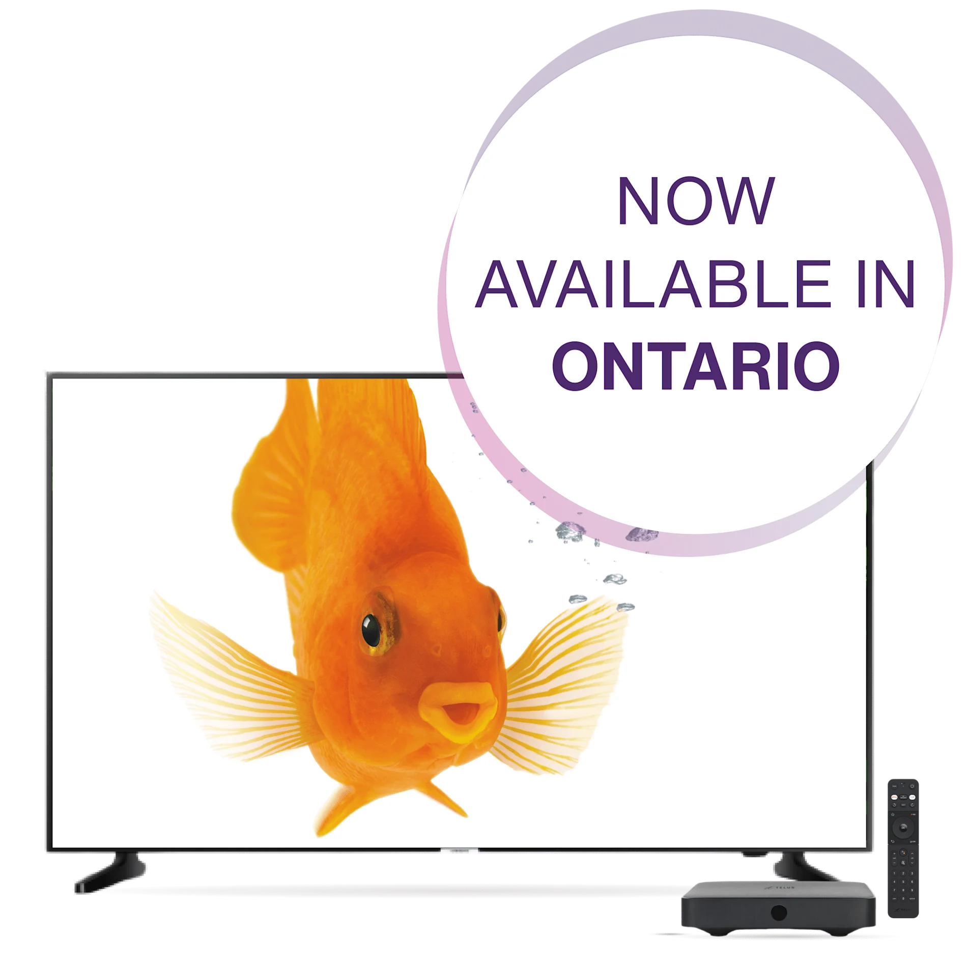 A TV, digital box and remote control. The screen displays a goldfish. A roundel on the top-right corner reads: Now in Ontario.