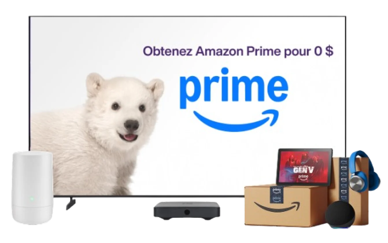 Une télévision, un modem TELUS, une tablette et des colis Amazon. L'écran de la télévision affiche un ours polaire avec le texte « Obtenez Amazon Prime pour 0 $ ».