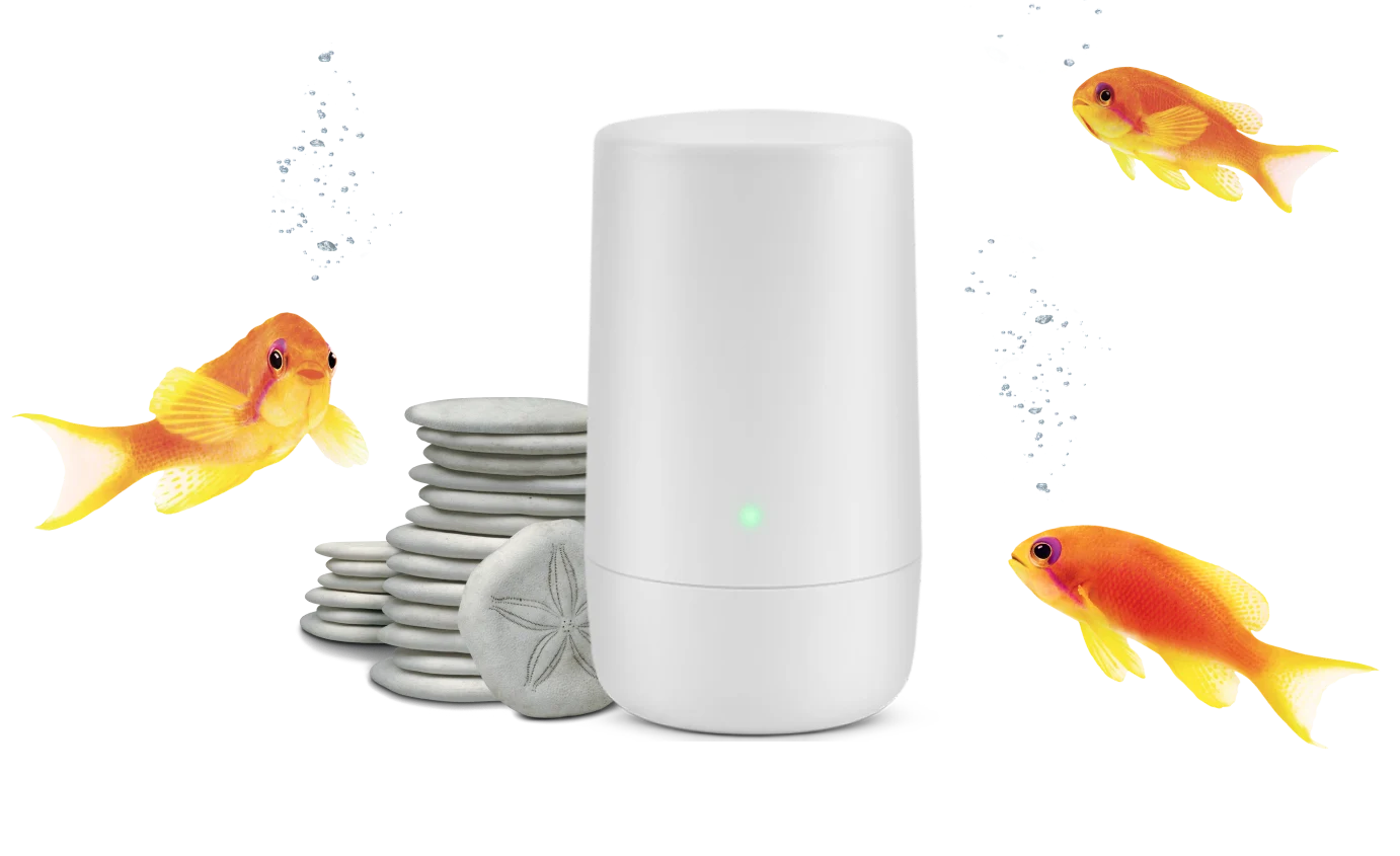 A TELUS modem next to a stack of sand dollars. A school of orange fish swim around the modem.
