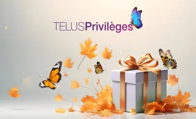 TQOP2327-Butterflies-Autumn-FR 1