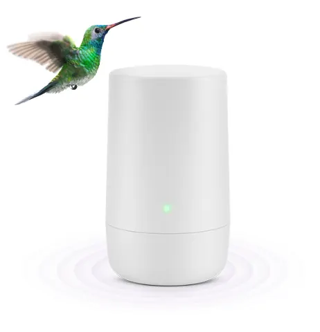 A hummingbird hovering over a TELUS modem.