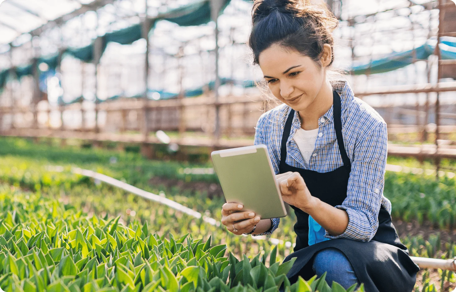 Une femme utilise sa tablette pour son travail dans un jardin.