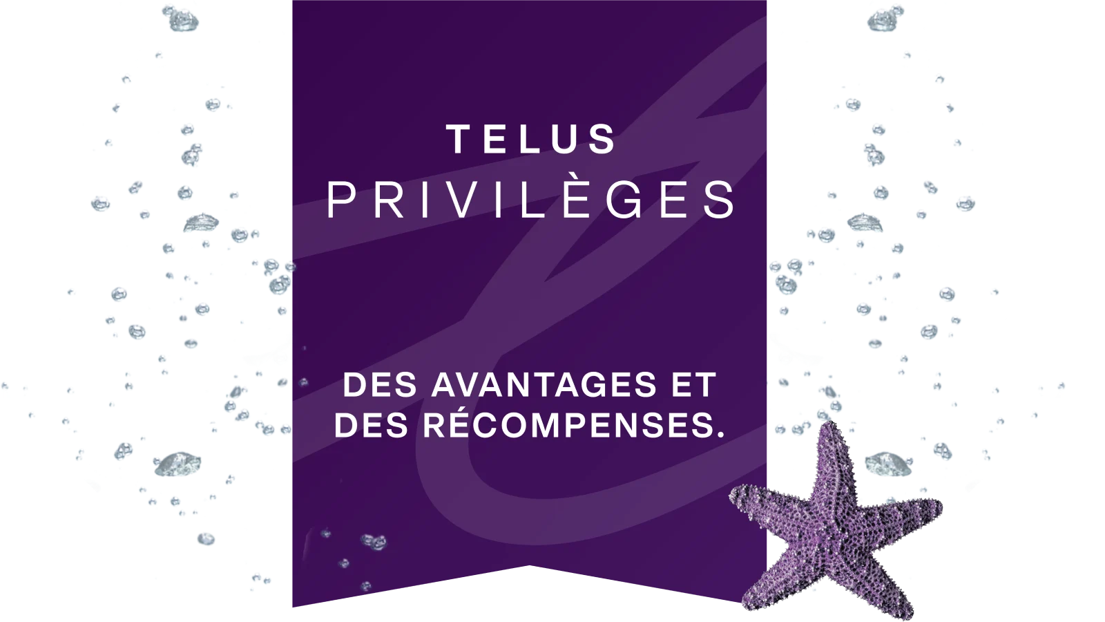 La moitié supérieure d’un téléphone intelligent affichant les logos des marques Skip+, WestJet et TURO sur un arrière-plan violet de TELUS Privilèges.