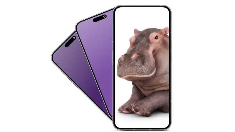 Three smartphones arranged in an overlapping cascade. Two in the back displaying a purple gradient interface, the one at the top displaying a close up image of a hippo smiling.