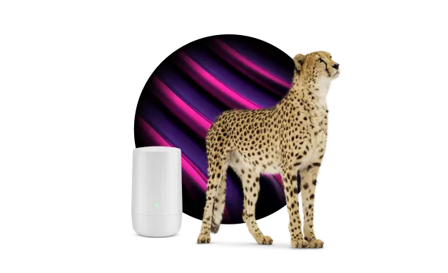A Cheetah stands next to a TELUS modem.