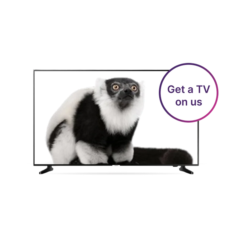A TV with a lemur popping out of the screen. A roundel on the right reads: Get a TV on us.