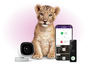 Home Security & Smart Home Monitoring Devices | TELUS