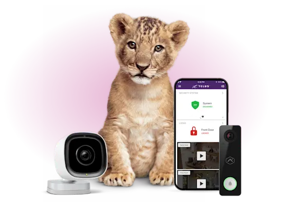 Home Security & Smart Home Monitoring Devices | TELUS
