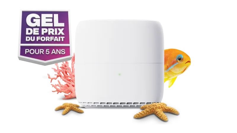 Un routeur Wi-Fi blanc à côté d'un poisson orange avec un badge indiquant « Gel de prix du forfait pour 5 ans ».