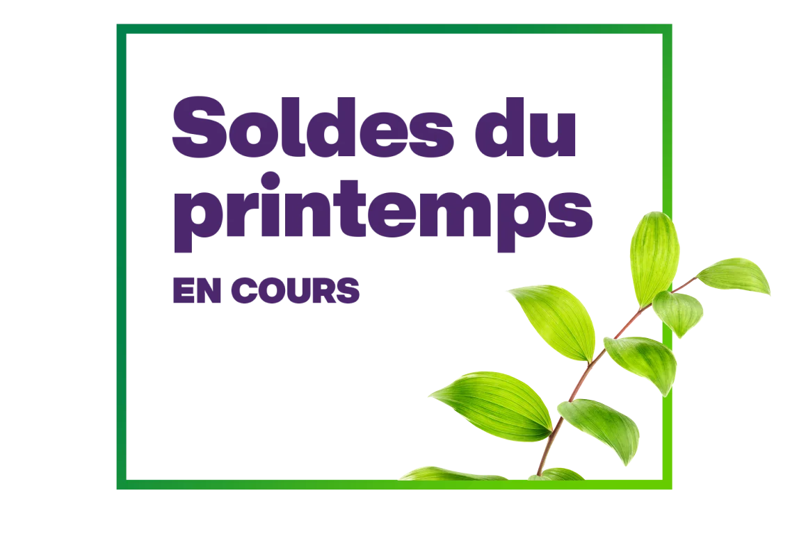 Un cadre vert d'où surgit une tige de feuilles vertes éclatantes met en valeur le texte « Soldes du printemps en cours » placé au centre.