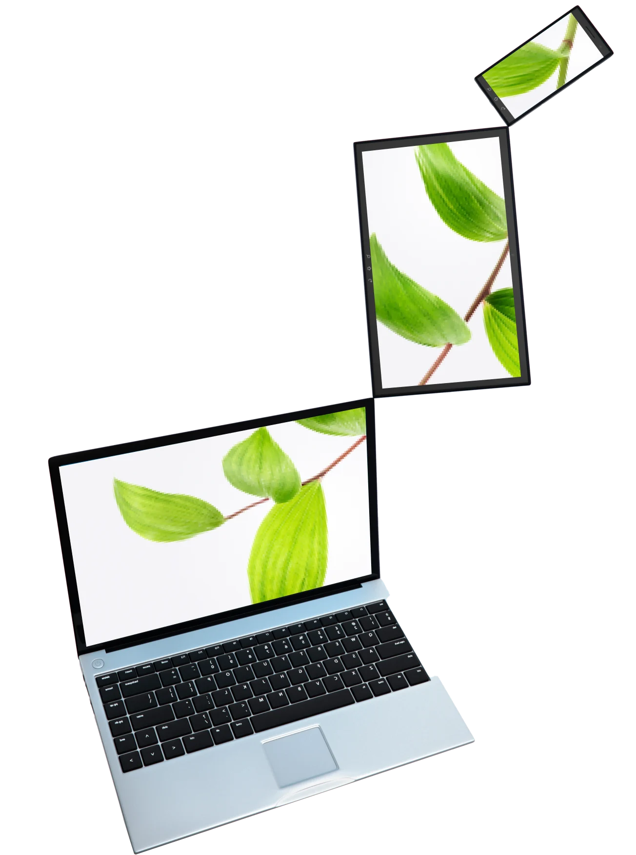 A smartphone, tablet and laptop, each with a leaf on screen.