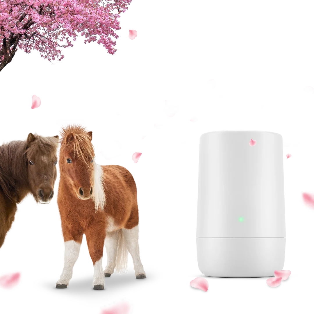 一台TELUS调制调节器位于笔记本电脑旁，电脑屏幕上显示着一株桃花树。