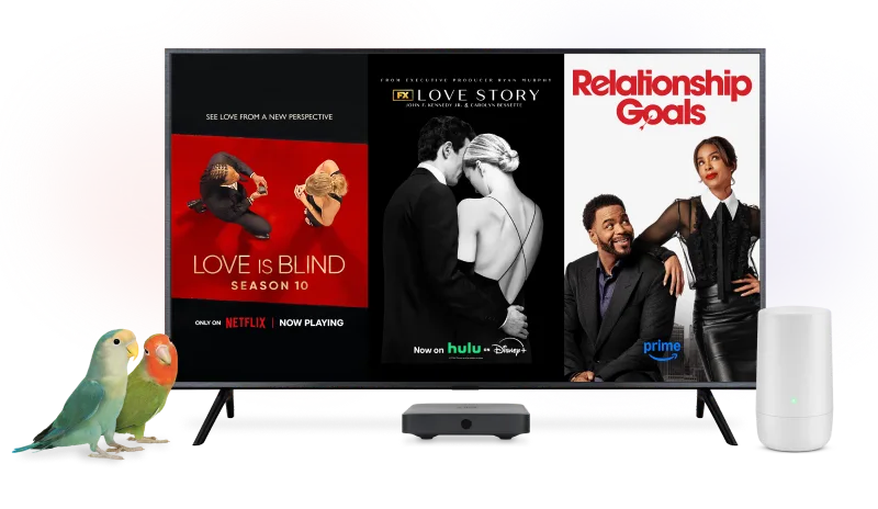 Deux inséparables debout à côté d’un téléviseur et d’un modem TELUS. L'écran de la tablette montre trois affiches : Love is Blind, Love Story et Relationship Goals.