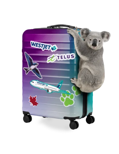 A Koala Bear hanging onto a hard-shelled blue and purple gradient suitcase covered in various stickers to represent travel.