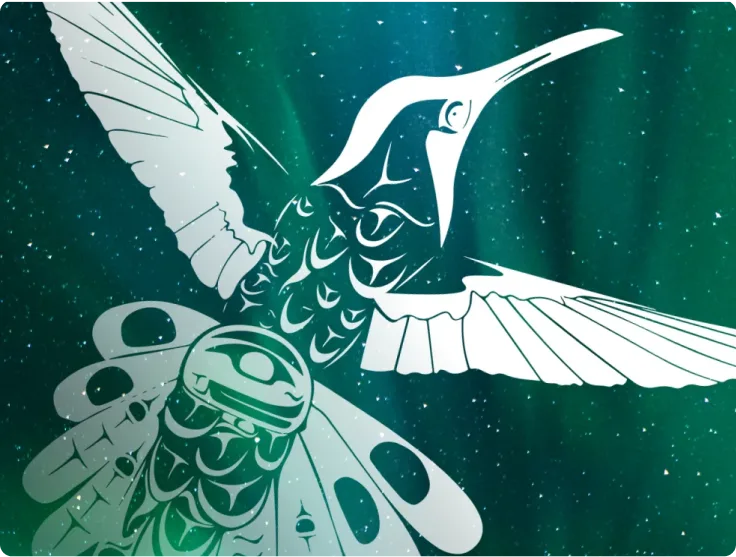 A depiction of the Hummingbird/Tsunalhduz, which signifies beauty and love. You see them in the height of summer/shen. 