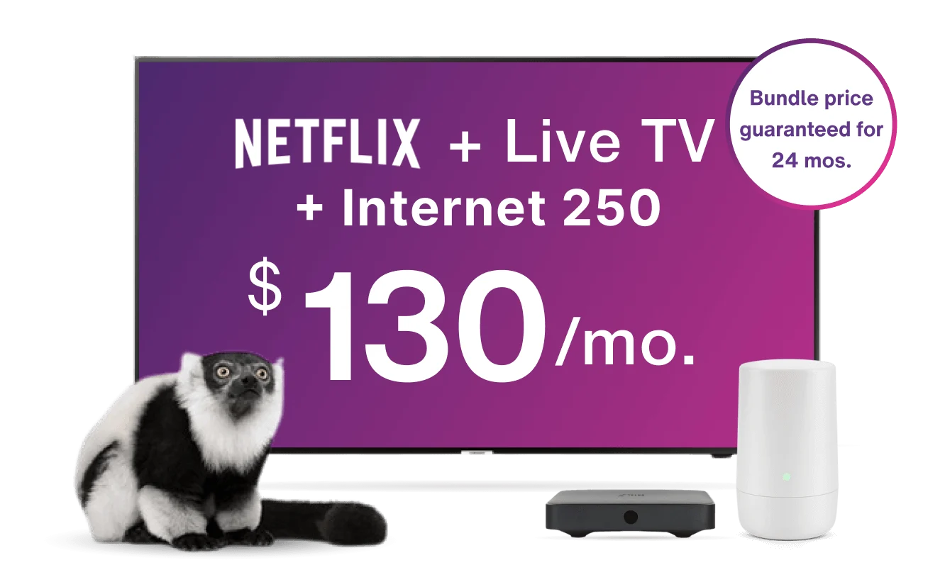 A TV displays the Optik TV offer of live TV and Netflix together with a TELUS TV Digital Box.