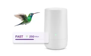 A hummingbird facing a TELUS modem. A sticker with a purple speed bar describes the Internet 250 plan as a fast option with download and upload speeds of up to 250 Mpbs. 