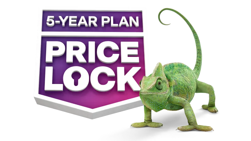 A green chameleon standing beside a badge that reads "5-Year Plan Price Lock".
