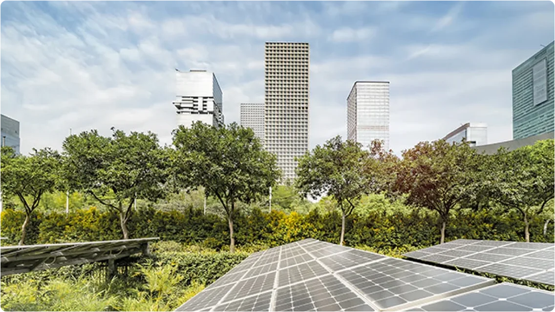 A shot of solar panels in the city with trees in the background