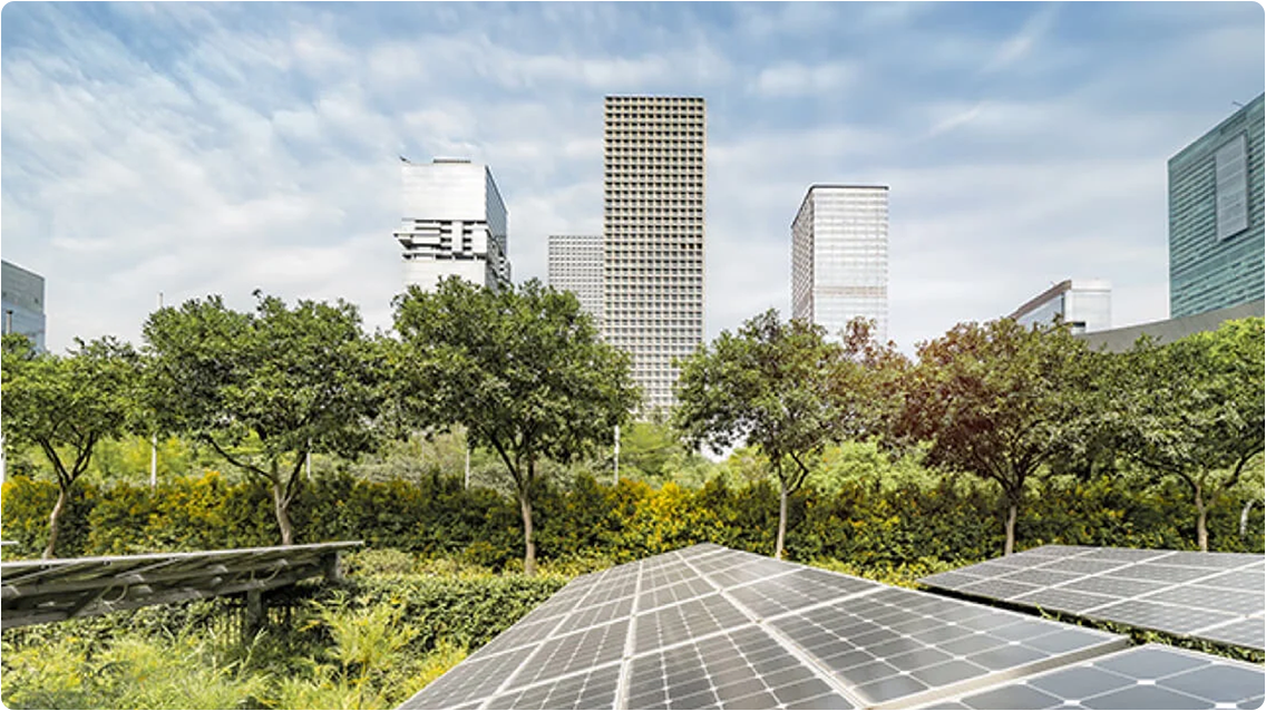 A shot of solar panels in the city with trees in the background