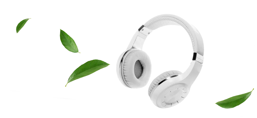 A pair of headphones