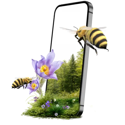 A smartphone standing displaying a small nature scene with flowers, as bees fly around and emerge from the screen.