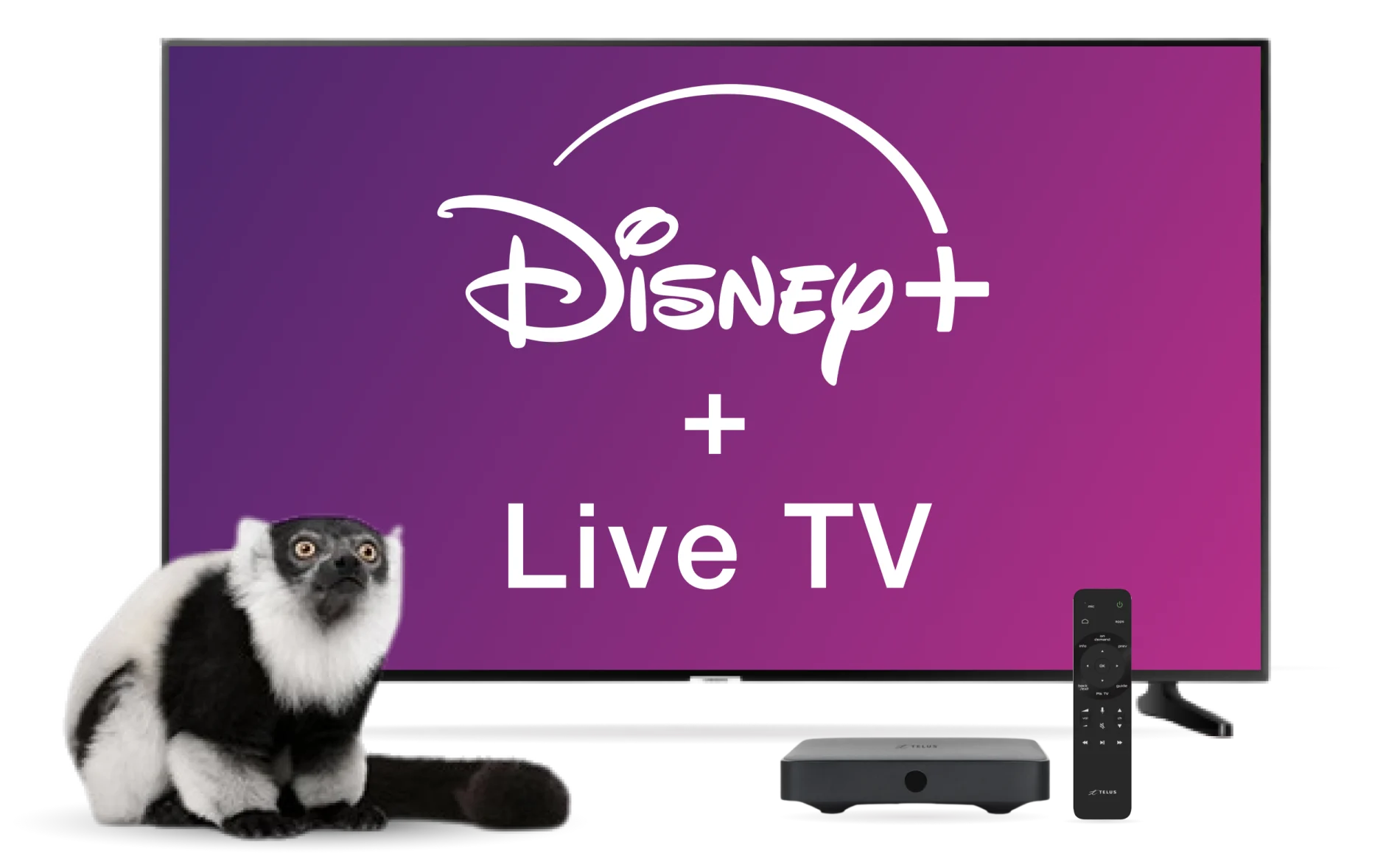 A TV displays the Optik TV offer of live TV and Netflix together with a TELUS TV Digital Box while a lemur looks on.