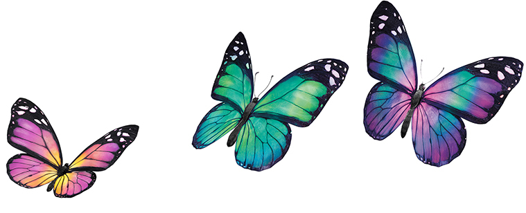 TELUS Rewards 2024 TELUS Rewards Q1 Samsung Tv And Charity Terms   BUTTERFLIES LEFT EN 