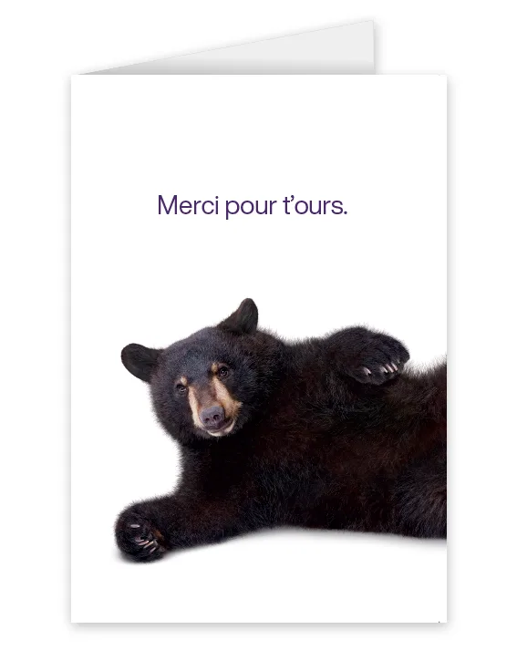 Une carte représentant un ours portant l’inscription : Merci pour t’ours.