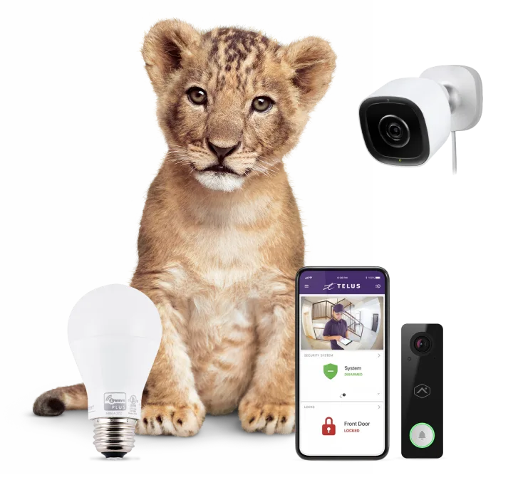 A TELUS lion cub, a doorbell camera, a smart lock, a security camera, and online security on a laptop and mobile device.