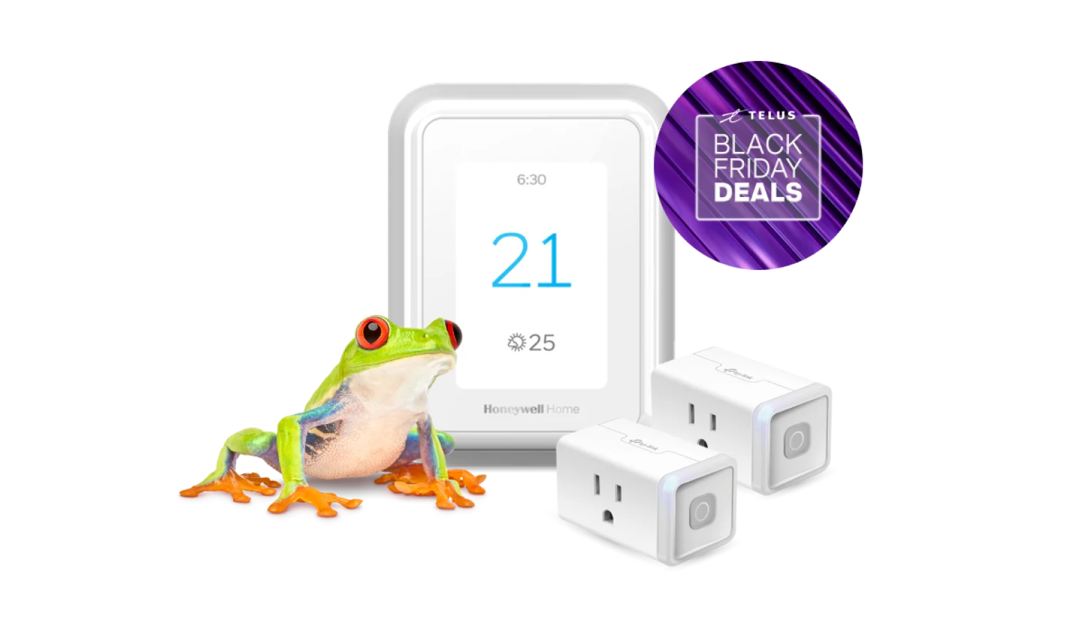 A frog is standing next to a smart thermostat and two smart plugs, displaying a roundel that says, "Black Friday Deals."