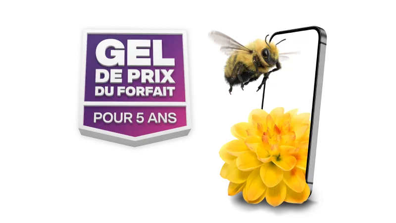 « GEL DE PRIX DU FORFAIT POUR 5 ANS ». Un bourdon vole vers un téléphone intelligent avec une fleur à côté.