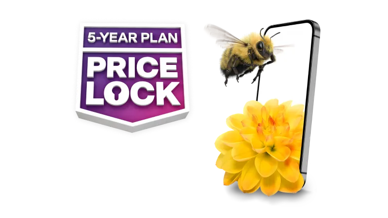 '5-YEAR PLAN PRICE LOCK' A bumblebee flies towards a smartphone with a flower sitting next to it.