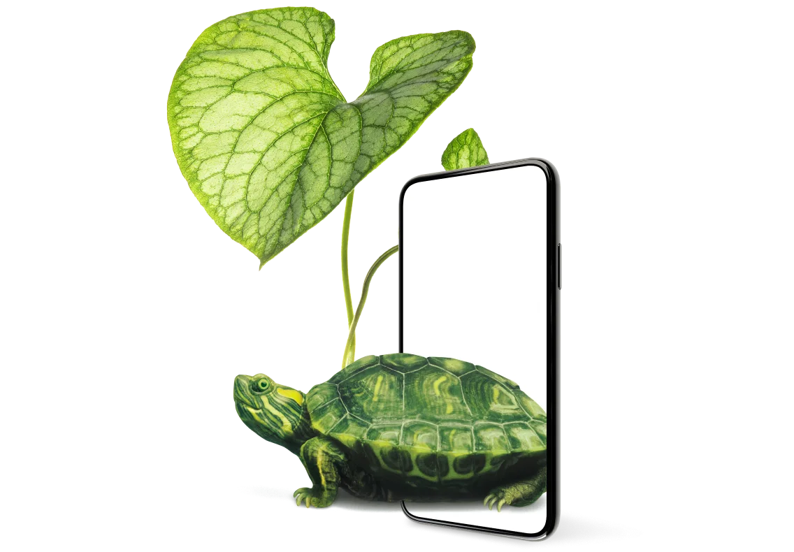 A striking example of the strong safeguard provided by Device Care Complete is shown as a turtle emerges from within a smartphone, its shell shaded by a lush green leaf.