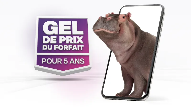 Un gros hippopotame émerge de l'écran d'un téléphone intelligent avec le logo « Gel de prix du forfait pour 5 ans » de TELUS sur le côté gauche.