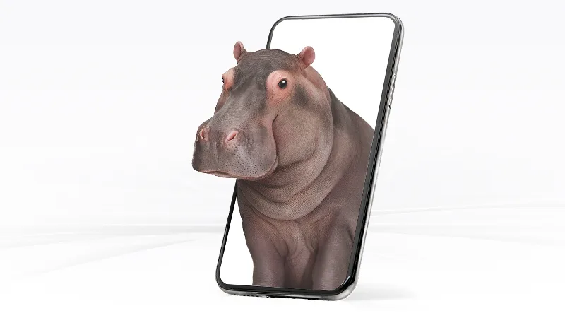 A large hippo emerging from the screen of a smartphone.