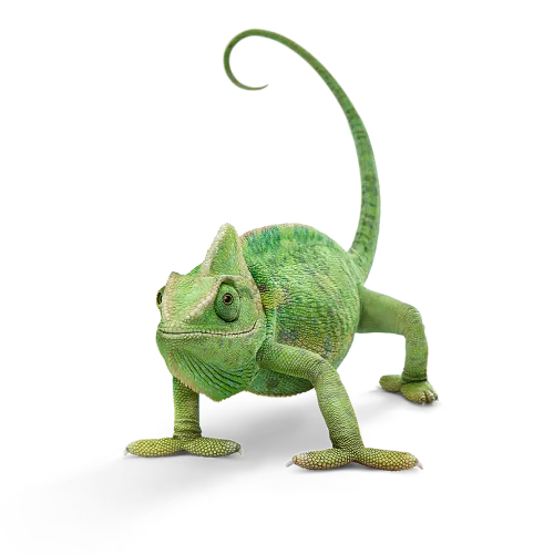 A green chameleon standing beside a badge that reads "5-Year Plan Price Lock".