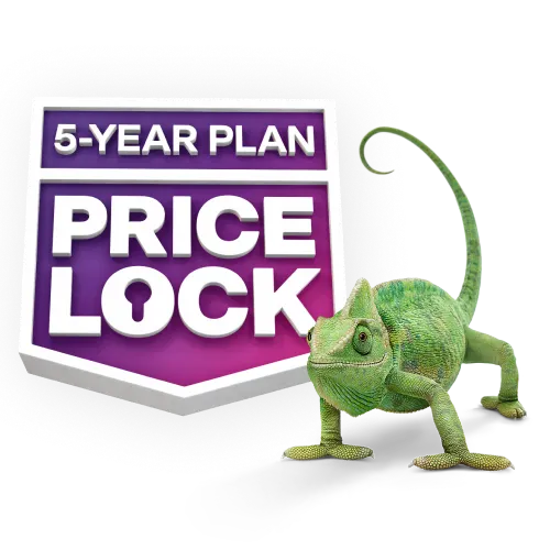 A green chameleon standing beside a badge that reads "5-Year Plan Price Lock".