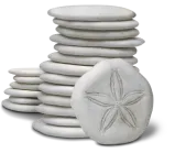 A stack of sand dollars.