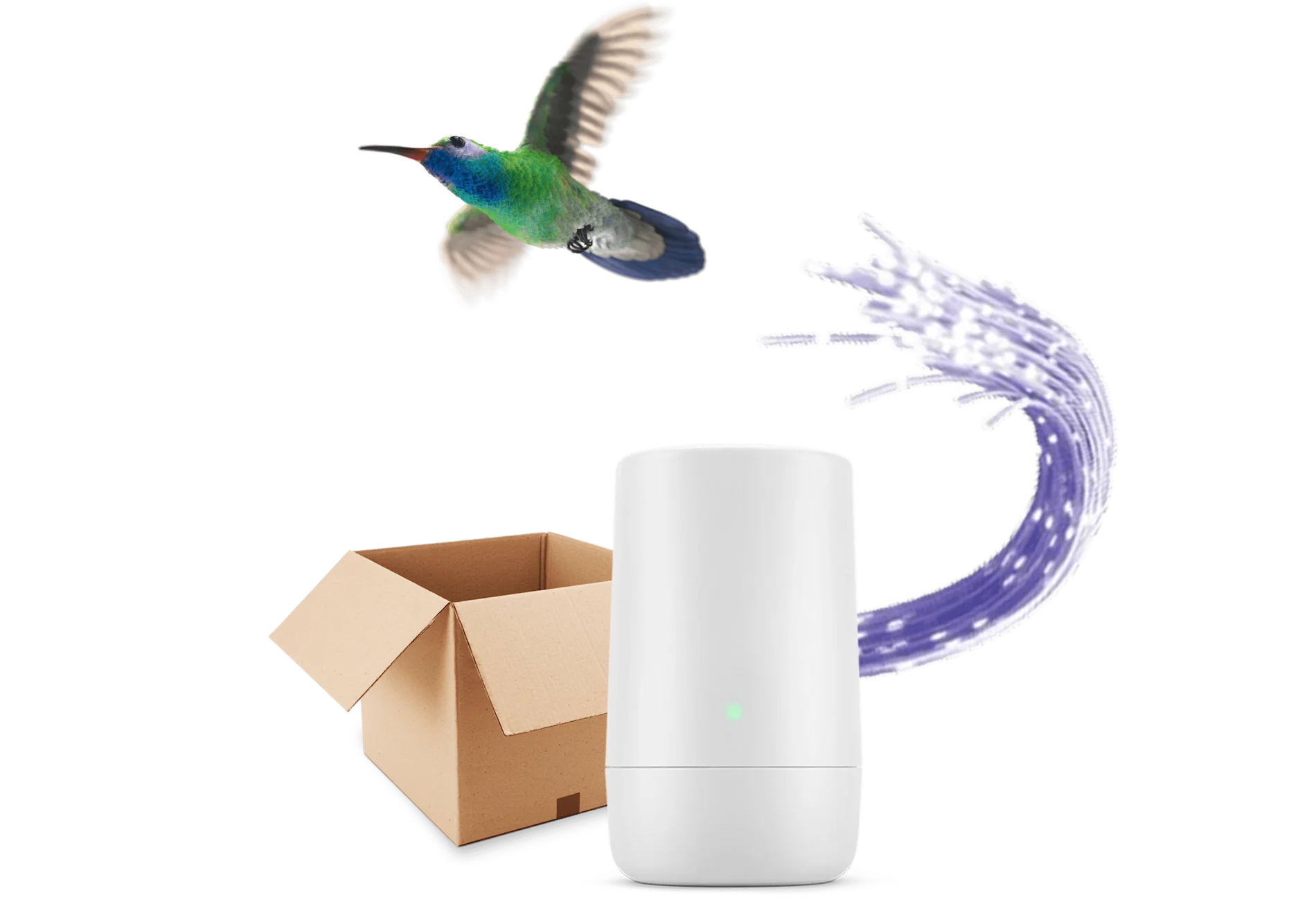 A hummingbird hovering over a TELUS modem and a package box beside it.