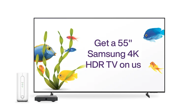 A large TV displaying fish swimming and the text: Get a 55” Samsung 4K HDR TV on us. Next to the TV is a TELUS modem.