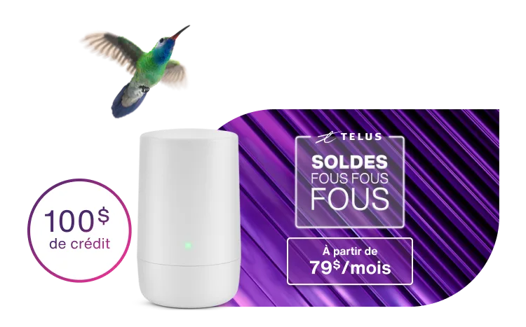 Un colibri volant vers un hub Wi-Fi. En arrière-plan, un autocollant mauve sur les offres du vendredi noir avec le texte suivant : $100 bill credit